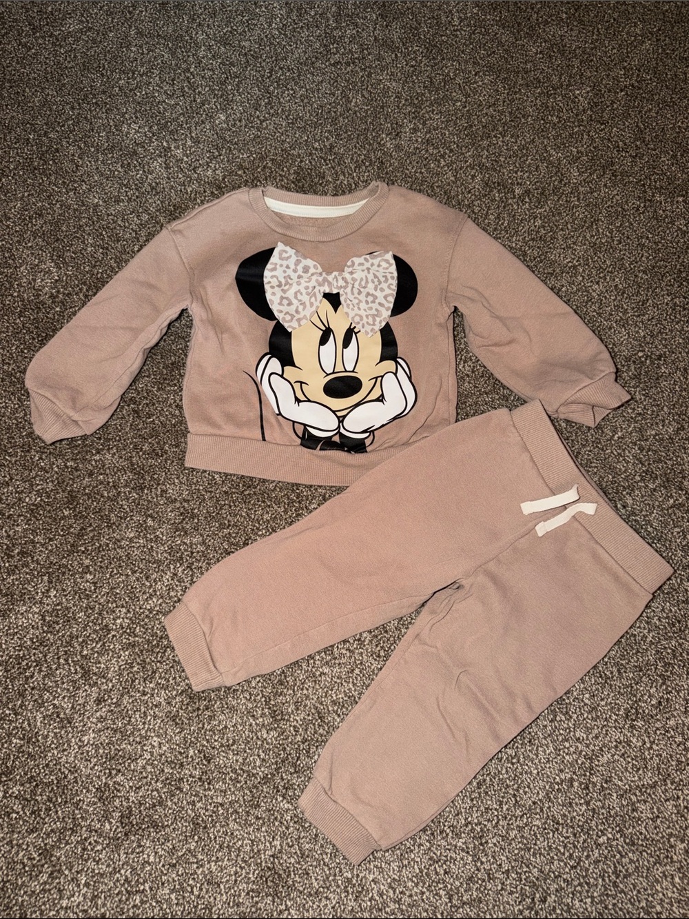 Minnie Mouse 24m Sweatshirt & Jogger Set